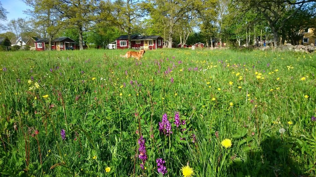 Maalaistalot Stf Hagaby/lantgarden Löttorp